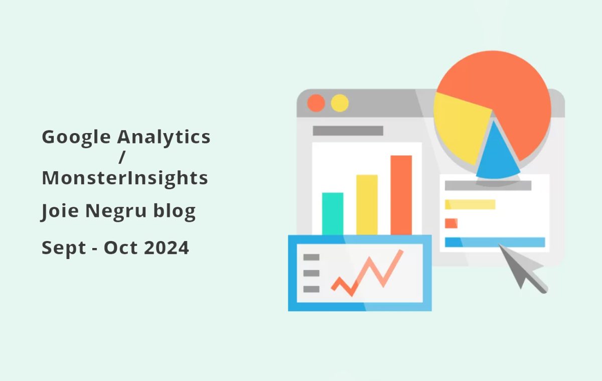 800 vizitatori pe lună pentru 10 articole