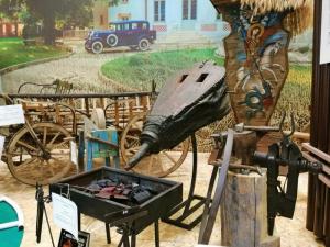 Targ Turism Romexpo  (3)